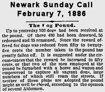 Solving the Dog Problem
February 7, 1886
Newark Sunday Call
