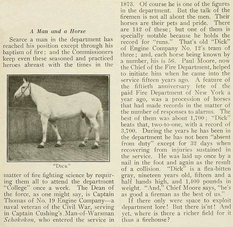 A Man and a Horse
Photo from "Newark's Anniversary Industrial Exposition 1916"
