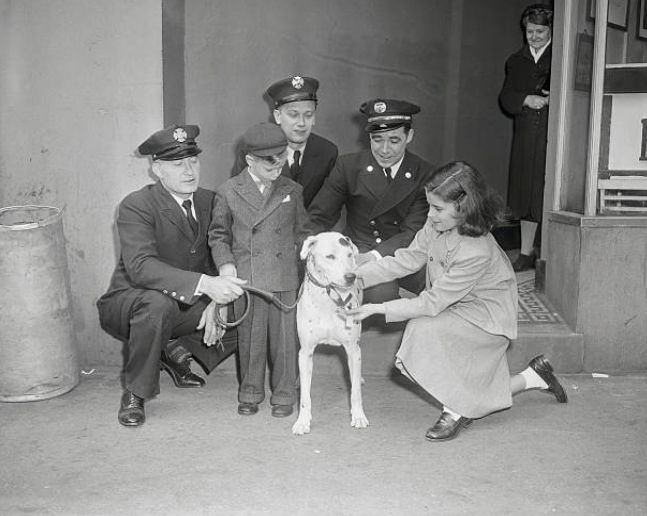 Mooch
The Newark fire dog, 'Mooch' received a Humane Society medal for his rescue of another dog in a fire. 'Mooch' is shown here with children and firemen at the firehouse. 

Photo from Bettmann
