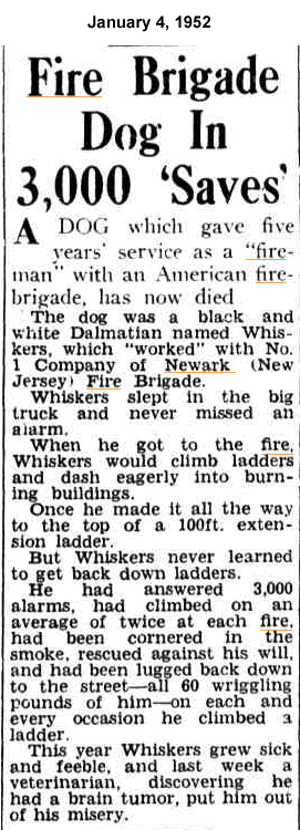 Fire Brigade Dog in 3,000 'Saves'
January 4, 1952
