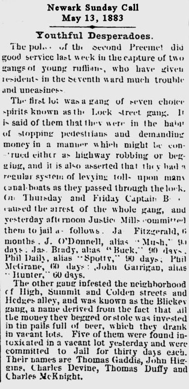 Youthful Desperadoes
May 13, 1883
Newark Sunday Call
